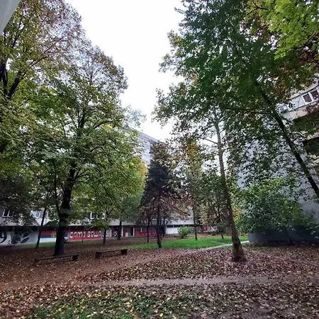 Lunula Novi Sad